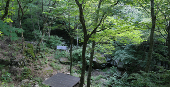 국립 지리산자연휴양림